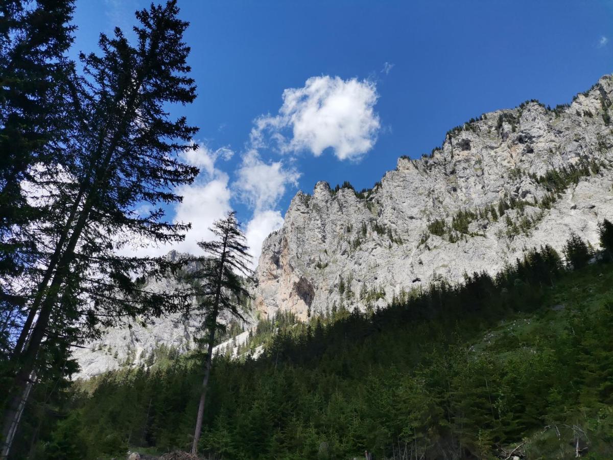 Haus Bergblick Fruehstueckspension Oberort Εξωτερικό φωτογραφία