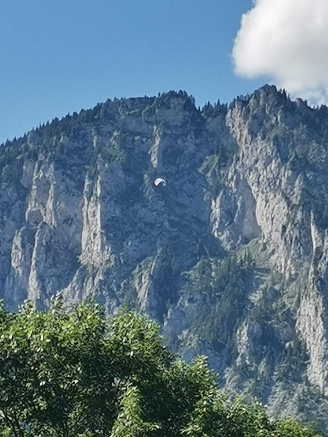 Haus Bergblick Fruehstueckspension Oberort Εξωτερικό φωτογραφία
