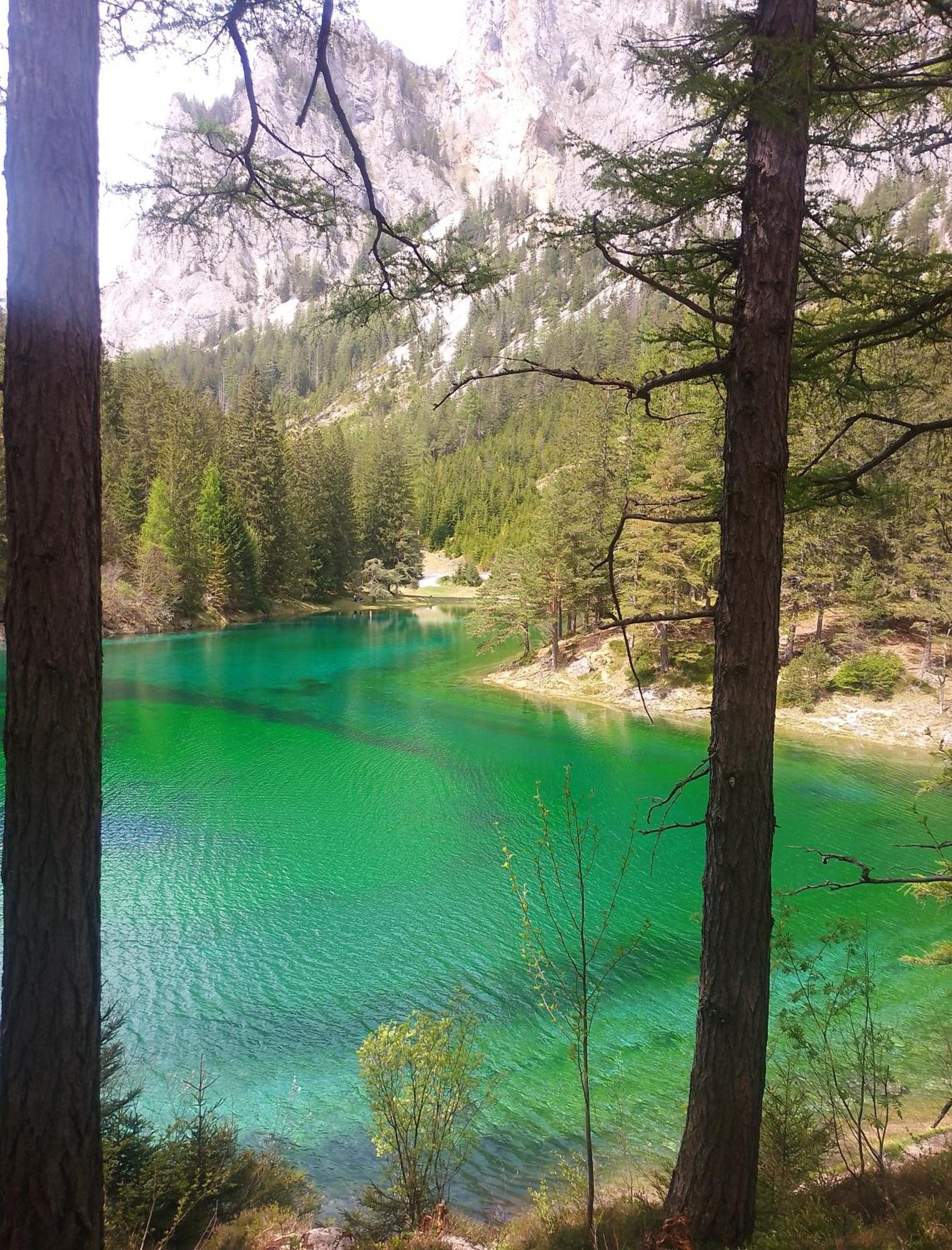 Haus Bergblick Fruehstueckspension Oberort Εξωτερικό φωτογραφία