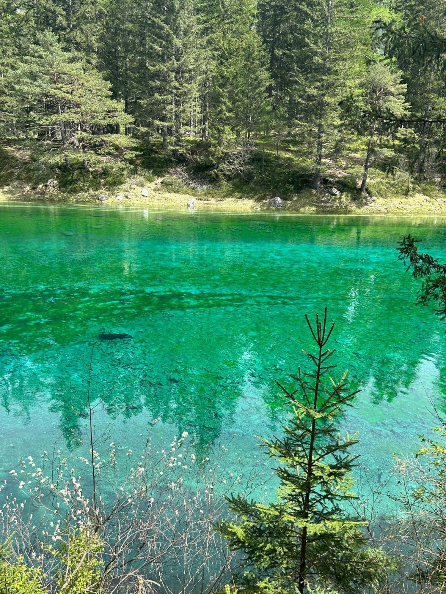 Haus Bergblick Fruehstueckspension Oberort Εξωτερικό φωτογραφία