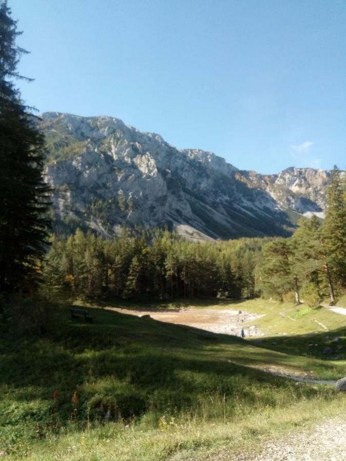 Haus Bergblick Fruehstueckspension Oberort Εξωτερικό φωτογραφία